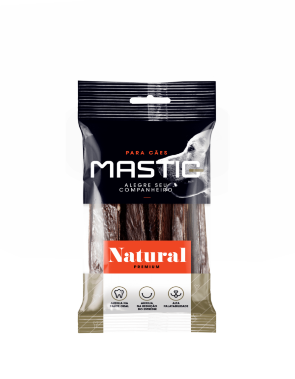 MASTIG FILÉZINHO CHIPS 6"